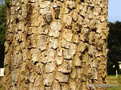 一文读懂沉香,一文读懂瓷器