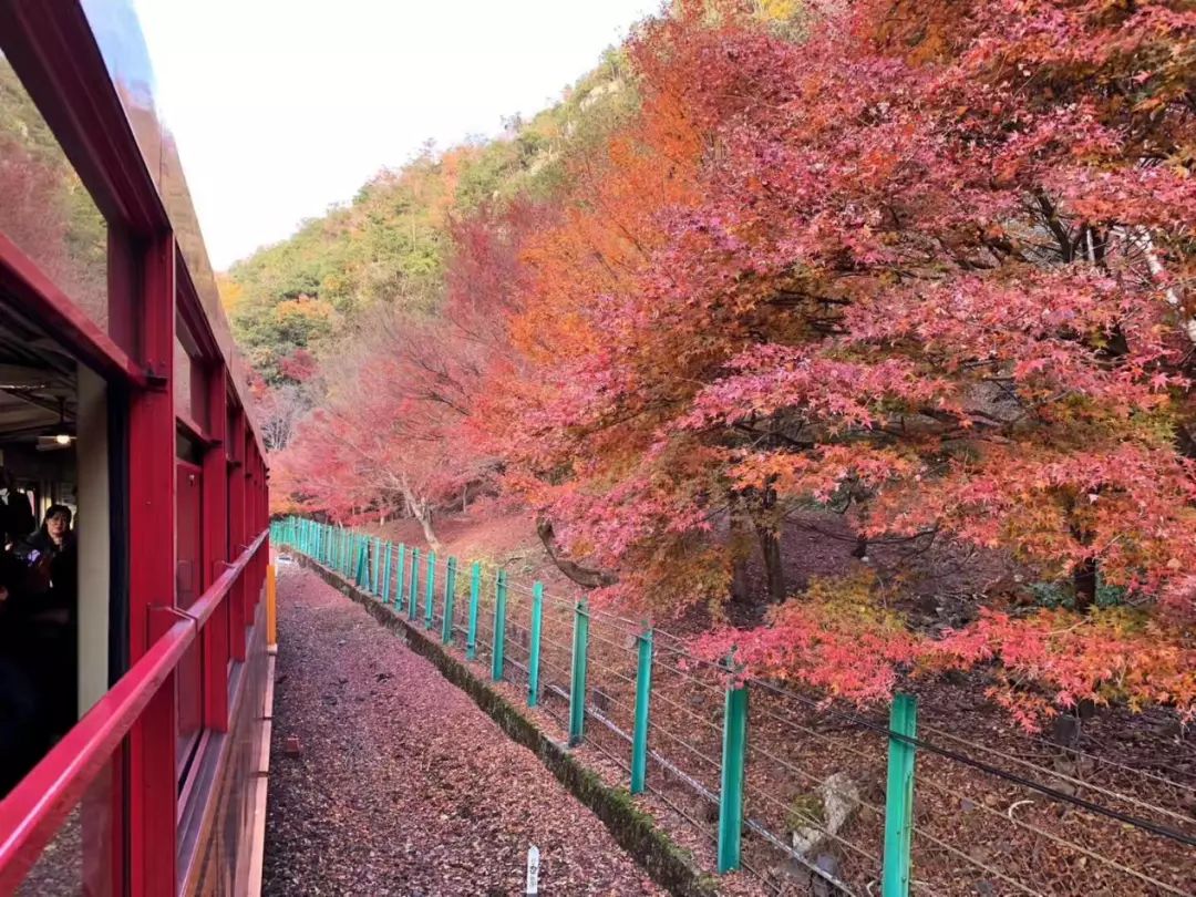 岚山哪有好玩的,日照岚山区值得去吗