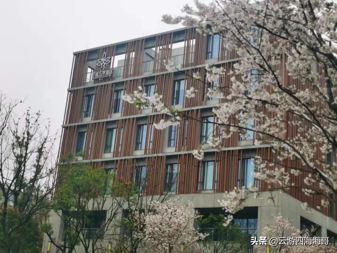 凯悦环球客怎么帮家人预订,凯悦环球客全攻略