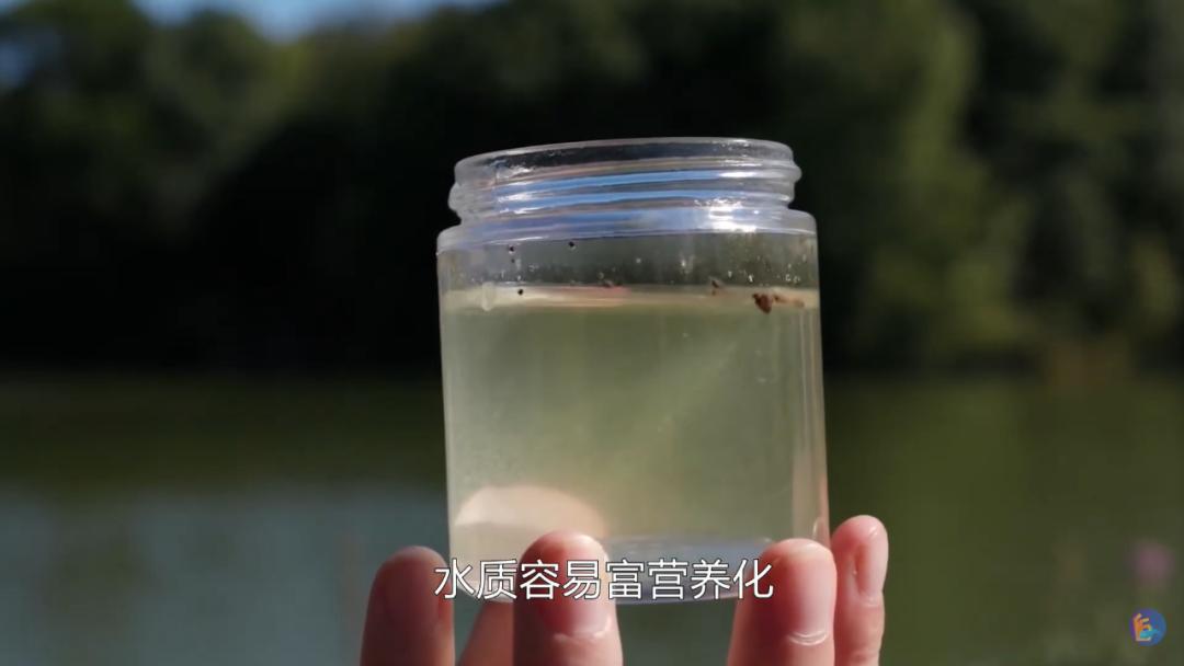 江鱼有土腥味怎么去除,淡水鱼怎么去腥味最好