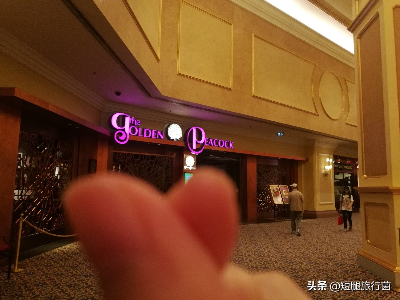 澳门旅游小贴士,澳门的一日游出行