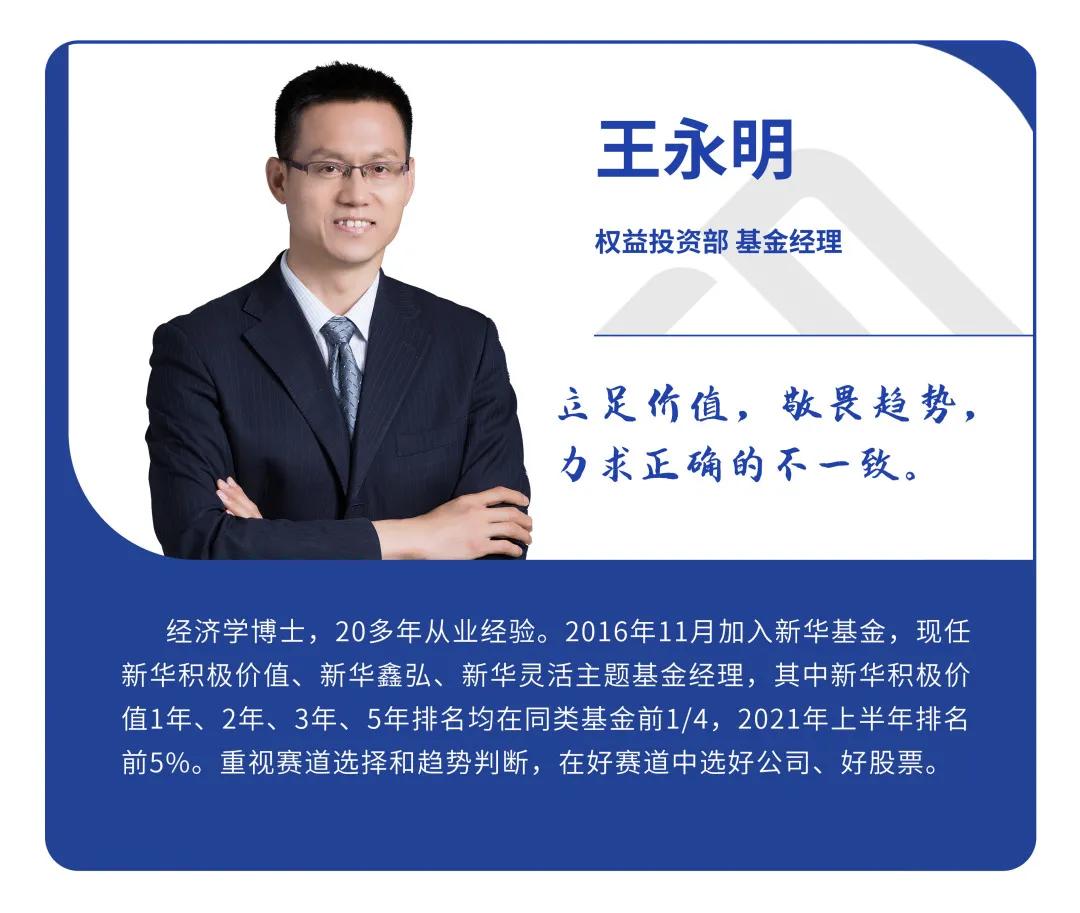 解读最新消息分析板块投资逻辑,投资市场新趋势研判分析