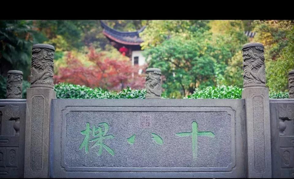 据说这是最贵的十款茶,最贵的12款茶