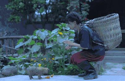 抖音全网第一名李子柒,李子柒抖音最火的女人