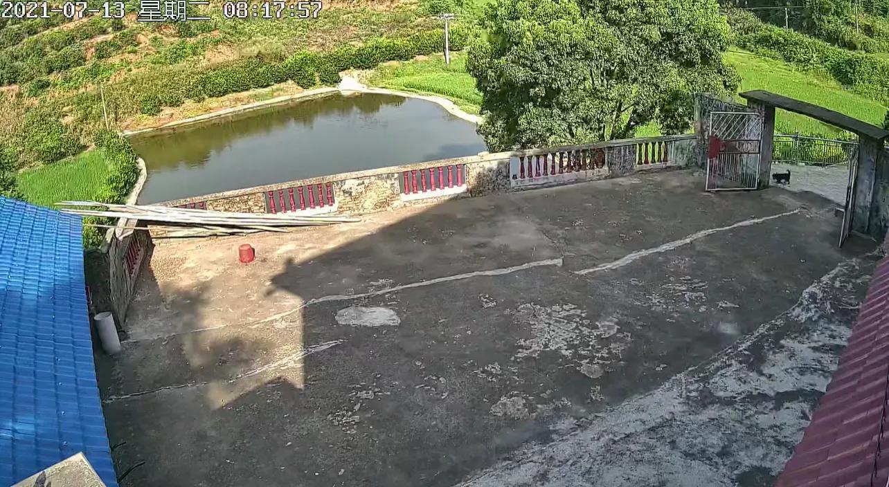 「一日一句」：叹兮英年生不逢时，嗟兮老迈力不从心