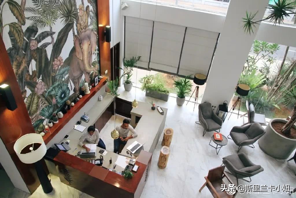 科伦坡淡山茱萸粉ins风酒店：清新艺术气质流行色不仅穿身上