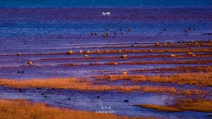 这座低调的小城，凭什么跻身云南6大国家历史文化名城之列？