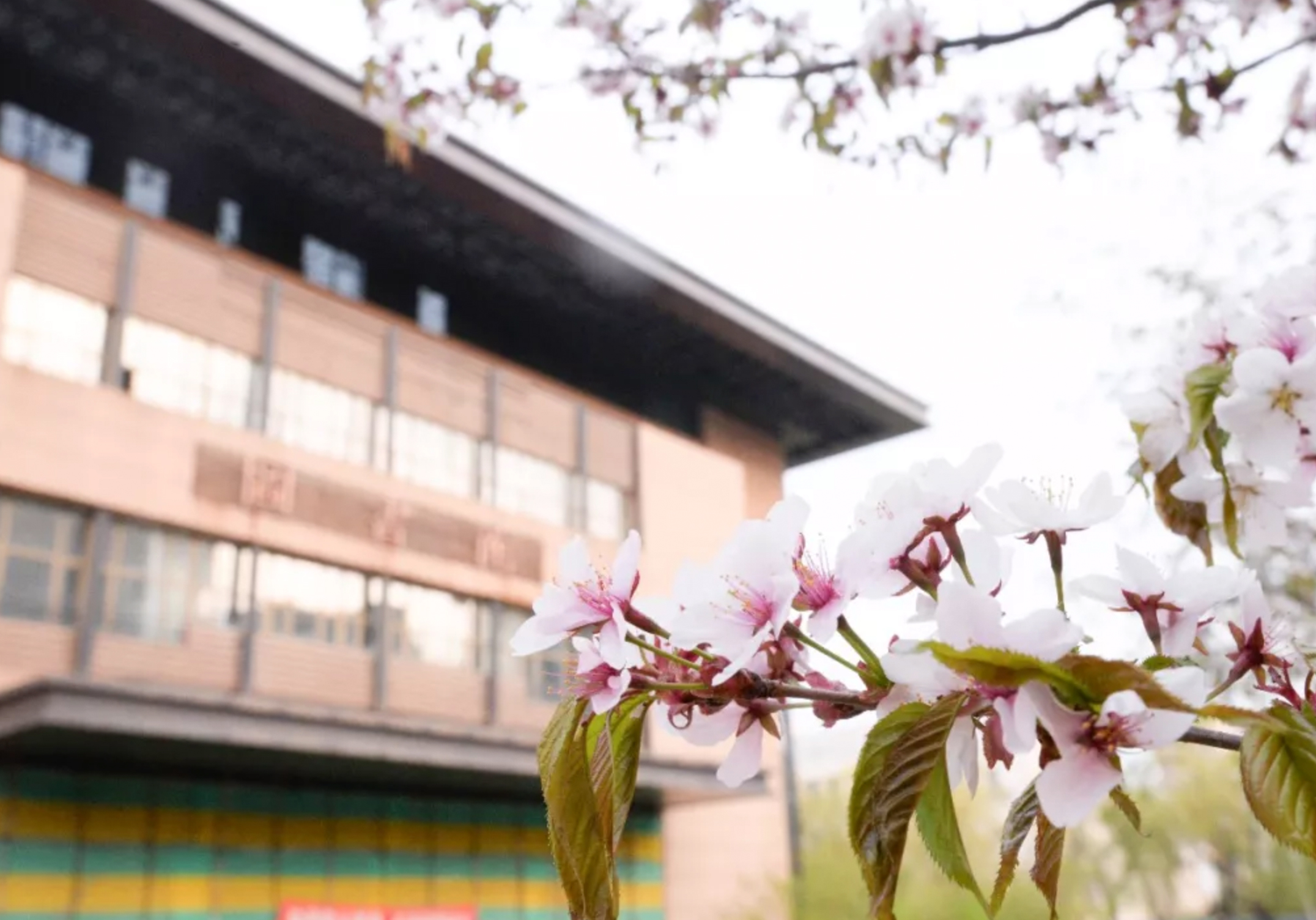 三个校区的西安学校,三个校区的广东大学