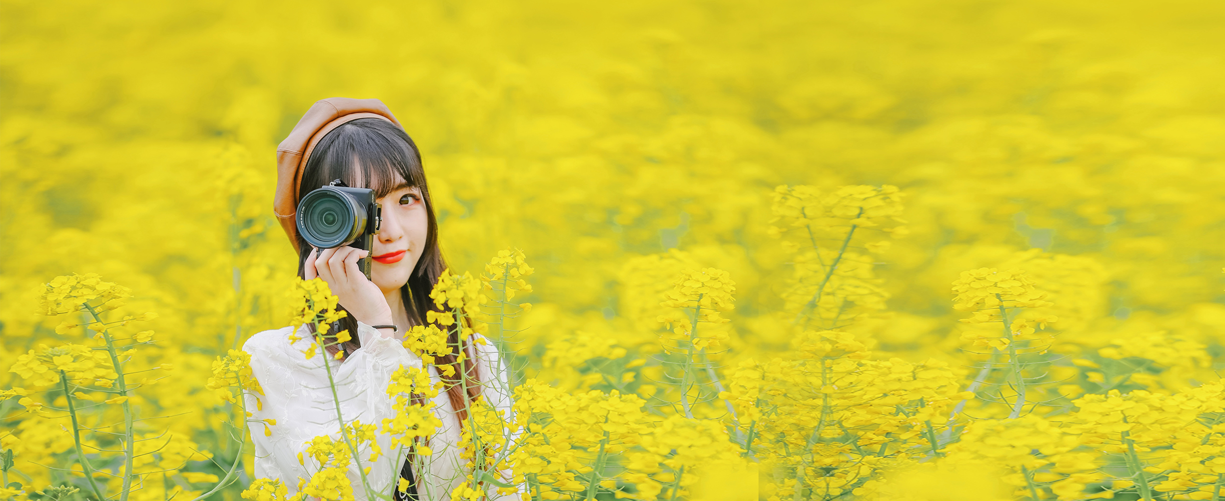 兴化看油菜花一日游,兴化千亩油菜花旅游