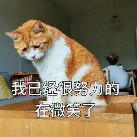 再上3天班就放假但有坏消息,张家口最新通知放假