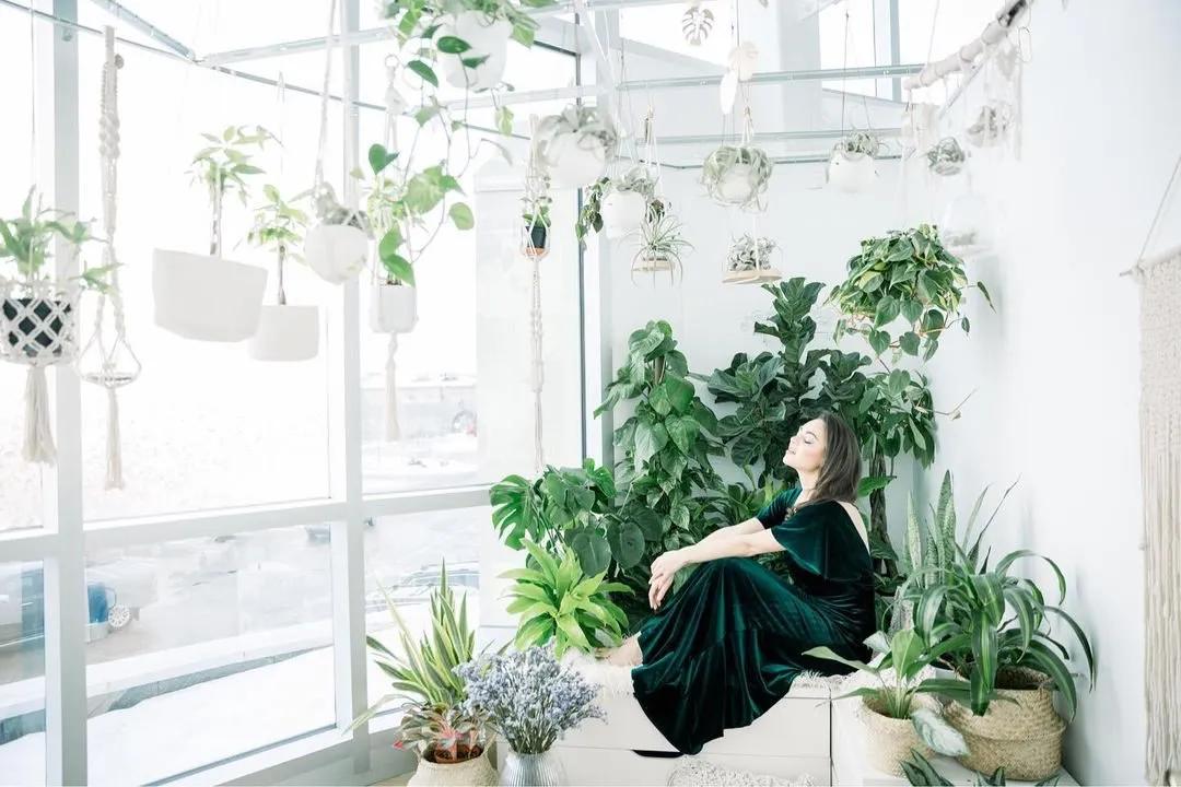 网红必备的高颜值绿植,ins风的网红绿植