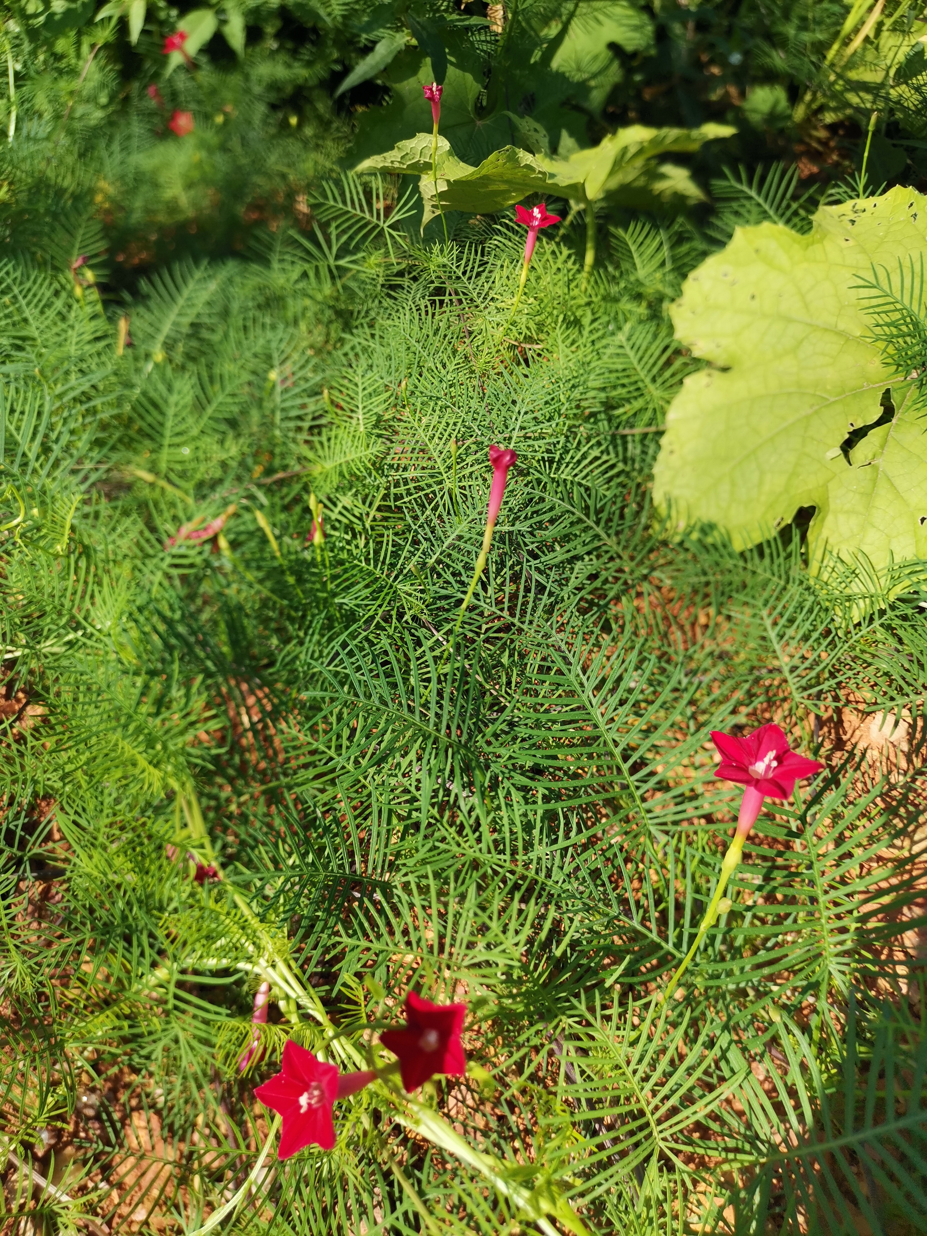 宸︽墜闈掓槬鍙虫墜鐖辨儏,宸︽墜瀛︿笟鍙虫墜鐢熸椿