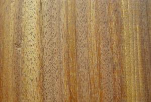 木材入门知识,进口木材的相关基础知识了解一下