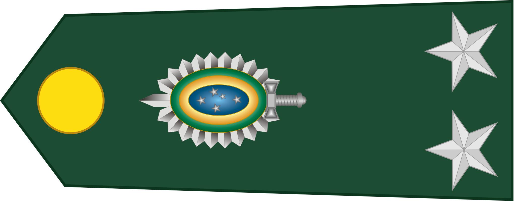 巴西军队标志,巴西海军军衔