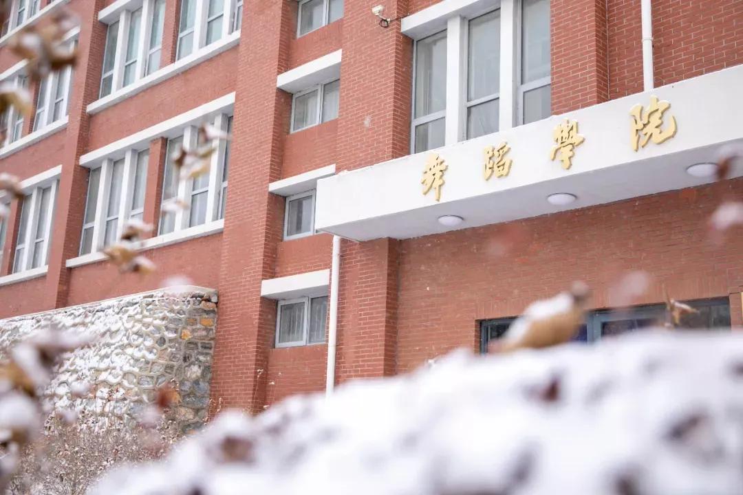 民办学校大连艺术学院全国排名,大连艺术学院辽宁排名