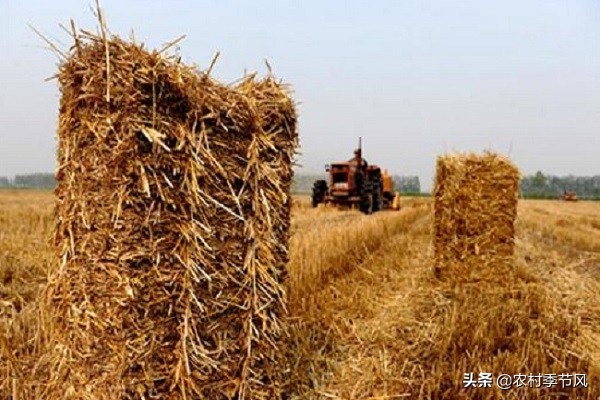 4种常见的农村创业项目诈骗，您必须了解，用这5招轻松应对！