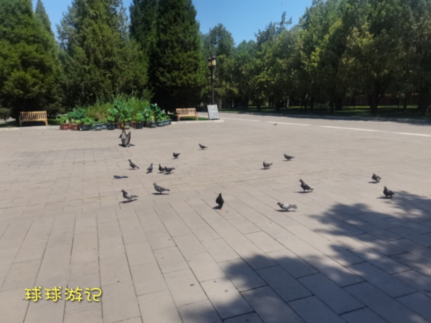 北京地坛方泽坛图片,地坛方泽坛介绍