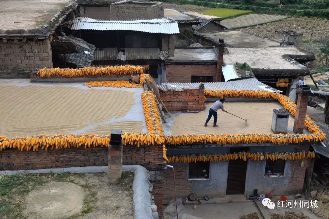 红河哈尼彝族自治州少数民族,红河州少数民族广场舞彝族