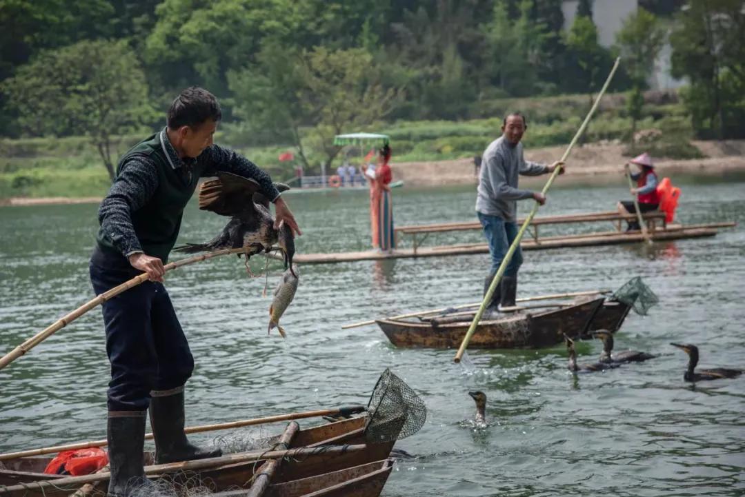 鎹烽『绉戞妧鏅烘収鏅尯,鎹烽『绉戞妧鏅鸿兘纭欢