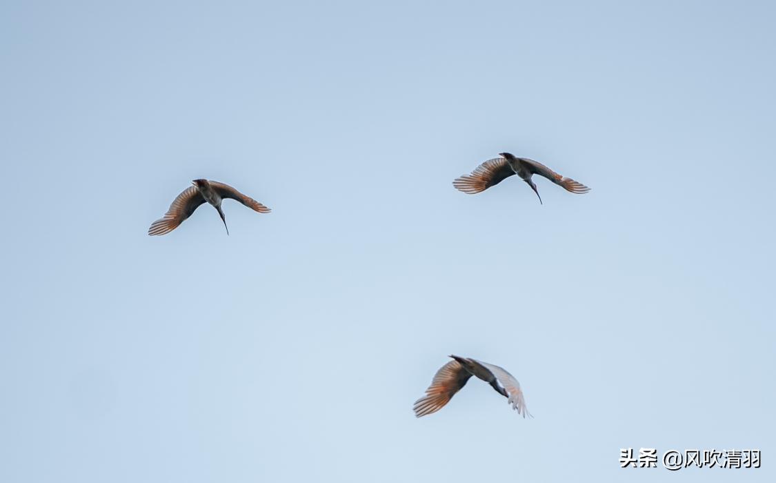 陕西十大避暑小城市,陕西适合养老的4个优美小城