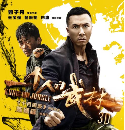 王宝强少林武打片段,王宝强致敬少林寺