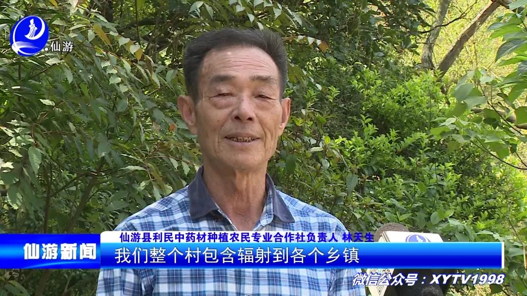 好果！仙游药农摸索这项提炼技术，竟然让大家收入