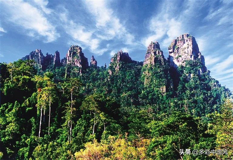 海南天然氧吧舒适景点,海南岛热带天然森林