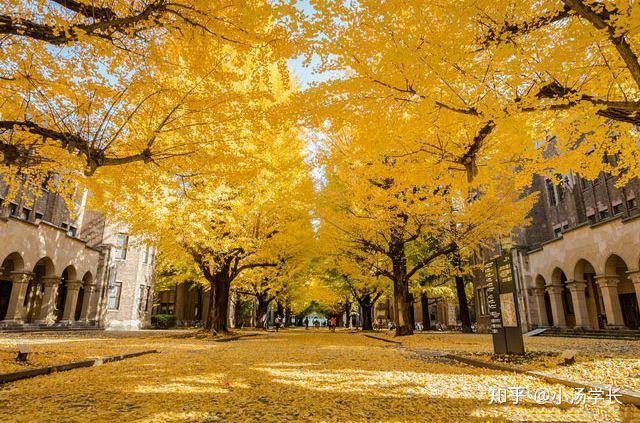 考研日语真题答案,日语考研要考些什么