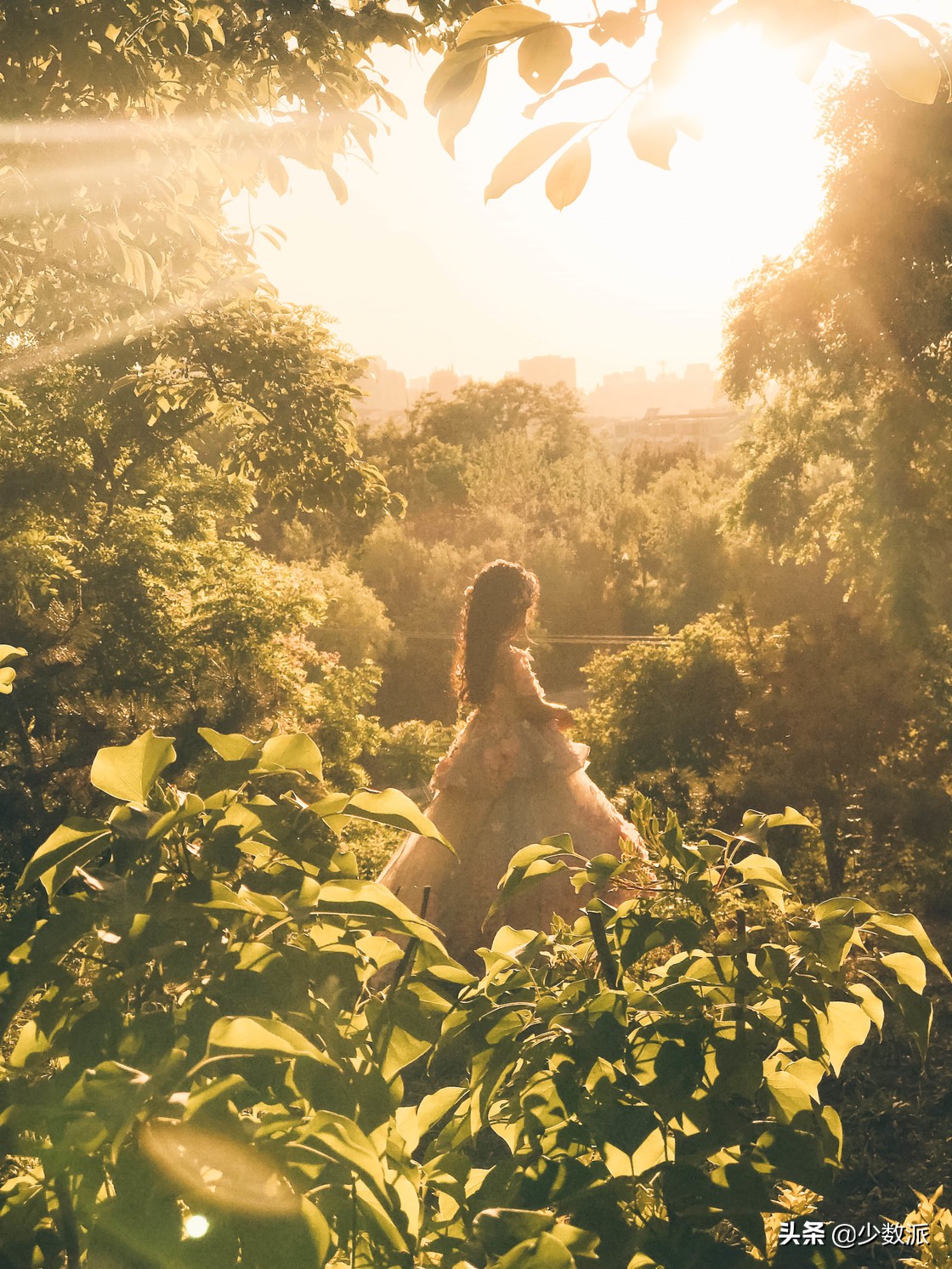 新手如何学会用苹果手机拍好照片,如何拍100张照片苹果