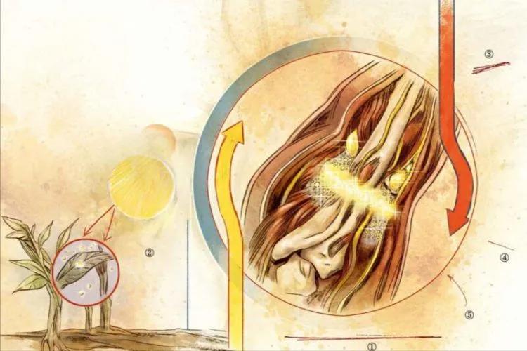 蝙蝠侠手记超人类绝密档案,蝙蝠侠绝密笔记