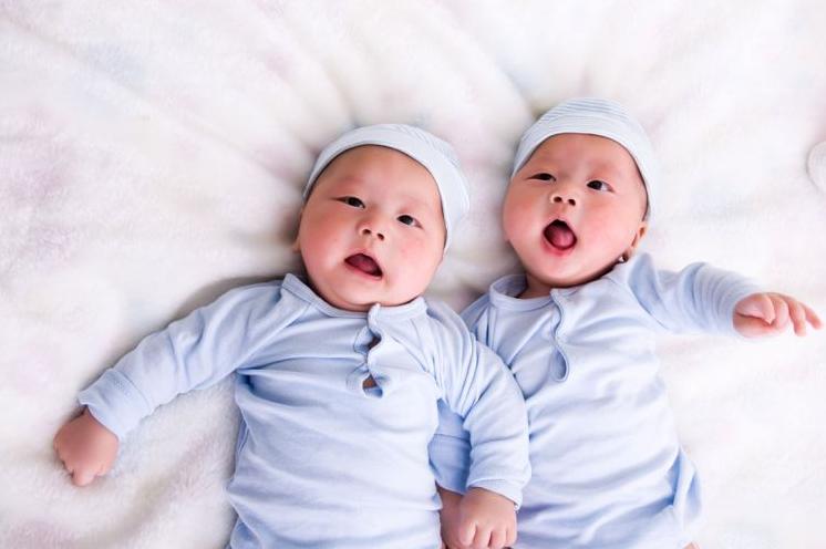 单胎变双胞胎能变成龙凤胎吗,两个月了双胎变成单胎的几率