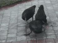 聚划算有必要买吗,聚划算为什么每天价格都不一样