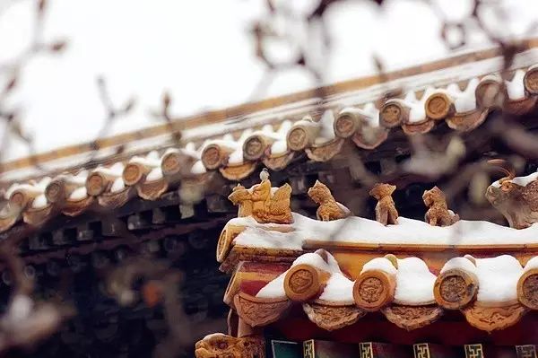 不负美景不负卿,不负美景不负卿经典语录