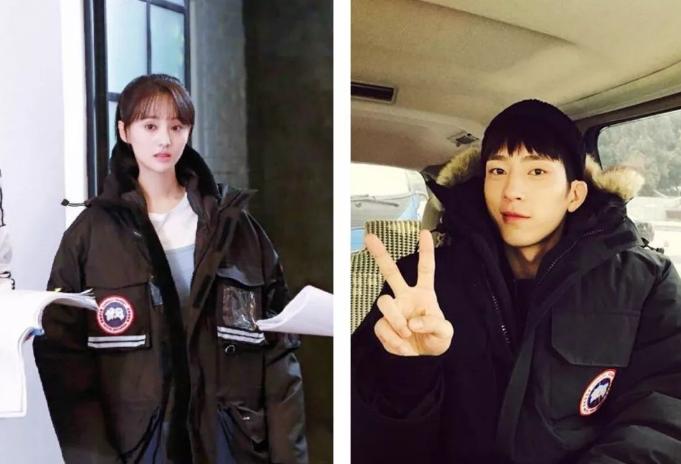 加拿大鹅品牌用的是鹅绒还是鸭绒,加拿大鹅羽绒服为什么都是鸭绒