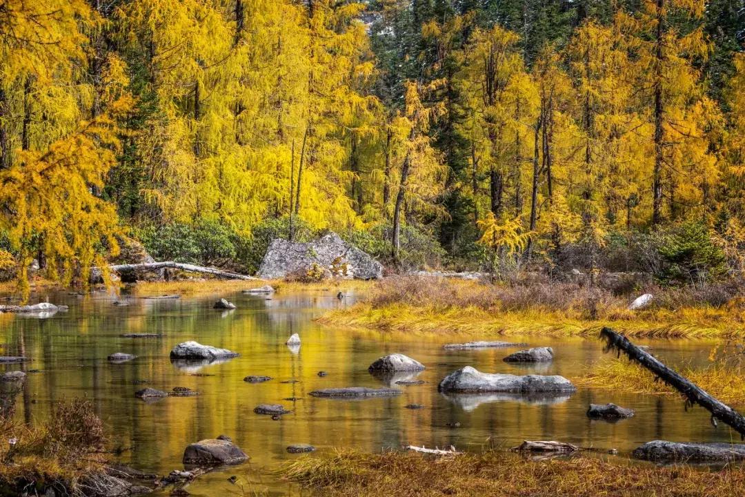 10月旅行地推荐最适合初秋出游,10月最适合慢慢旅游的地方
