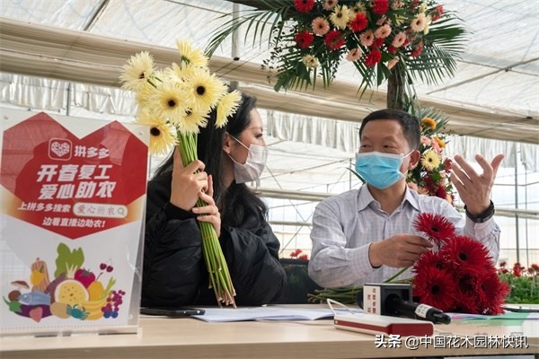 网络营销直播带货的介绍,网络直播营销行为规范