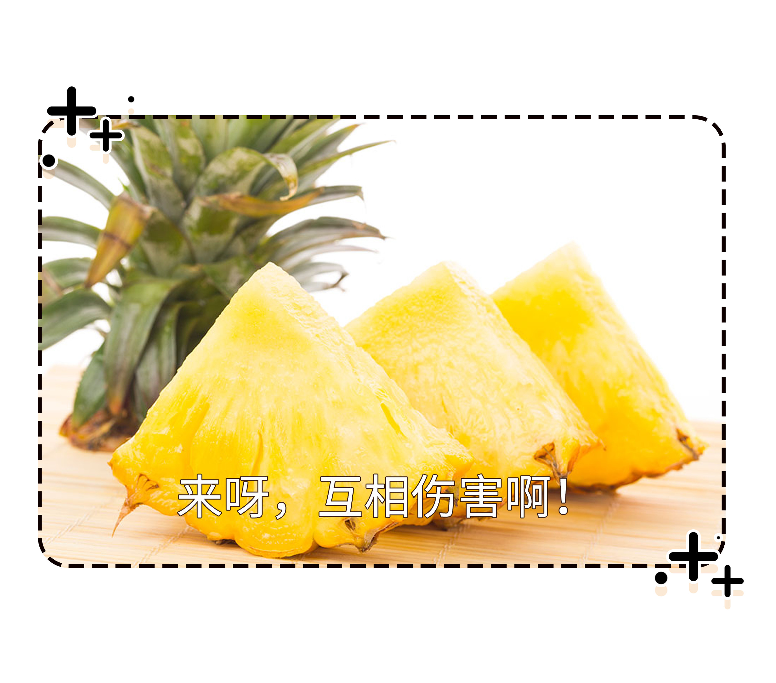 带上菠萝回古代，你就是全欧洲最有钱的仔（菲李漫画）