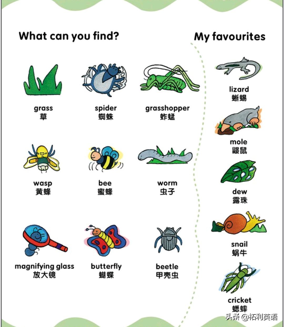 生活中常用的3000个英语单词短语,生活英语单词谐音大全