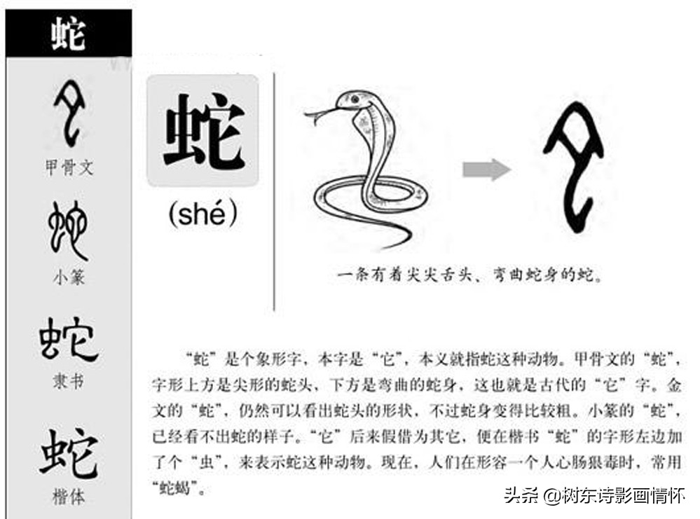 树繁体字说文解字,树字的说文解字