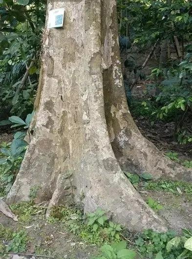 <html>
<head><title>502BadGateway</title></head>
<body>
<center><h1>502BadGateway</h1></center>
<hr><center>nginx</center>
</body>
</html>
<!--apaddingtodisableMSIEandChromefriendlyerrorpage-->
<!--apaddingtodisableMSIEandChromefriendlyerrorpage-->
<!--apaddingtodisableMSIEandChromefriendlyerrorpage-->
<!--apaddingtodisableMSIEandChromefriendlyerrorpage-->
<!--apaddingtodisableMSIEandChromefriendlyerrorpage-->
<!--apaddingtodisableMSIEandChromefriendlyerrorpage-->
