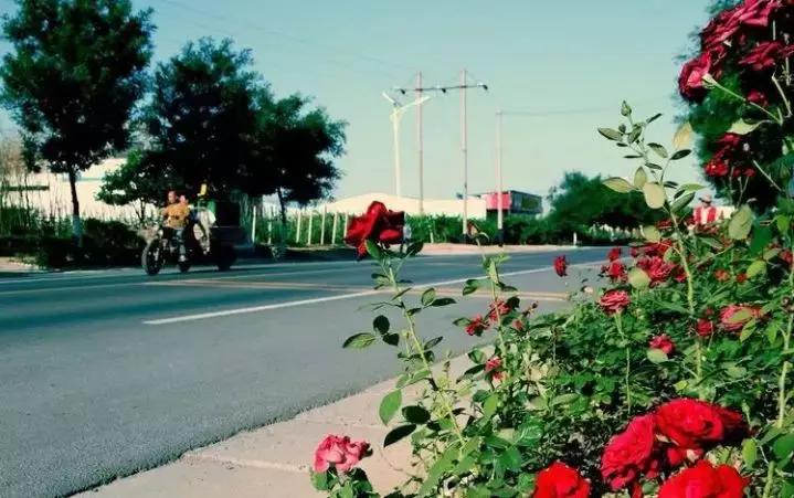 大荔美吗,大荔县的美