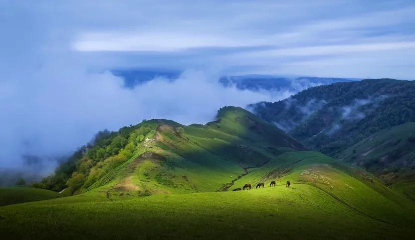 大美新疆伊犁草原,新疆美丽的伊犁草原
