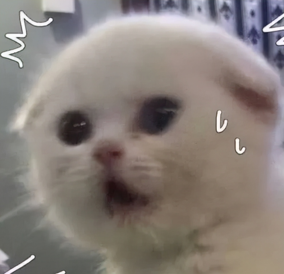 2024届秋招企业有哪些,秋招最值得选择的公司有哪些