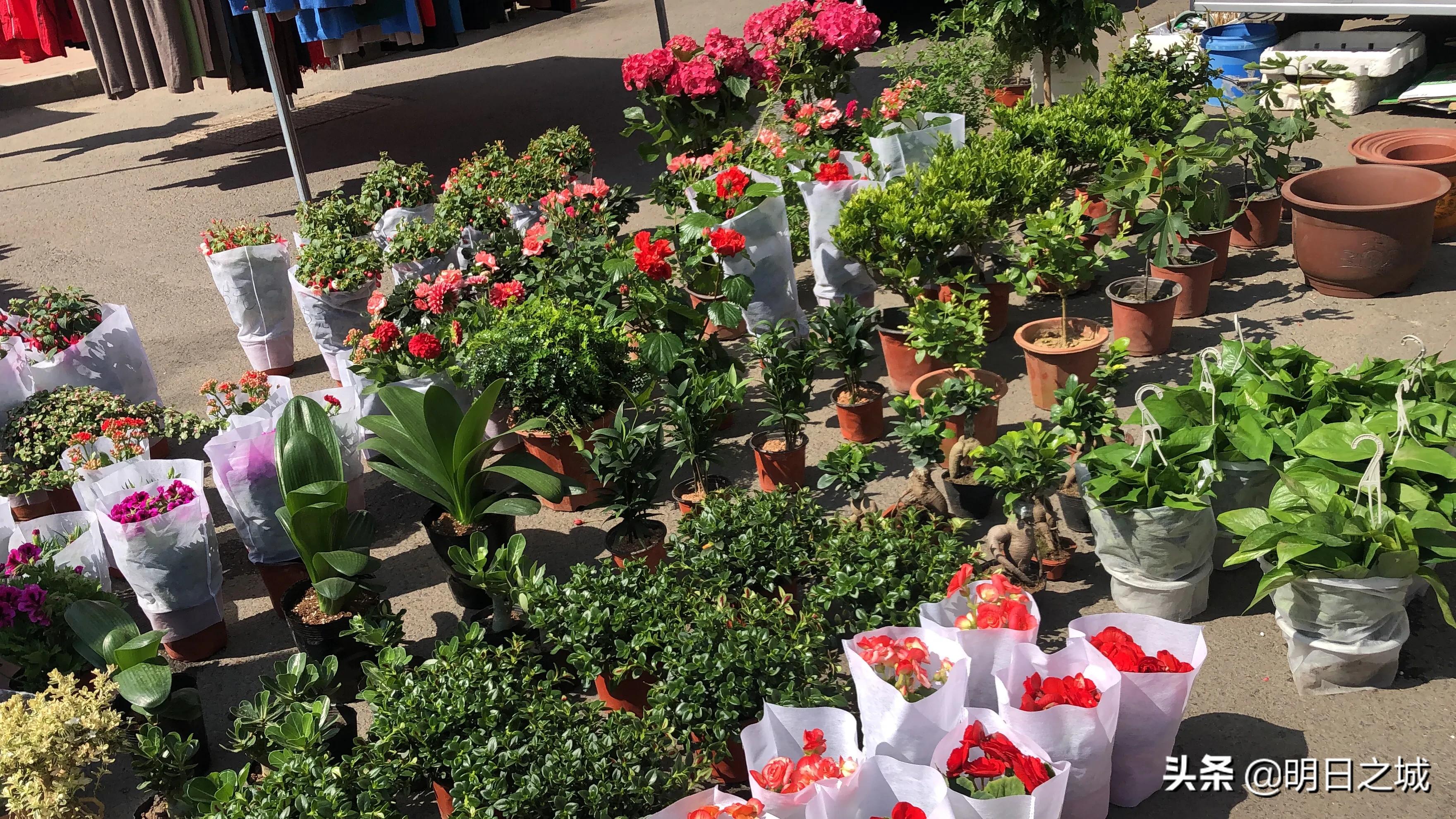 长春早市晚市大集大全2021,长春目前存在的早市