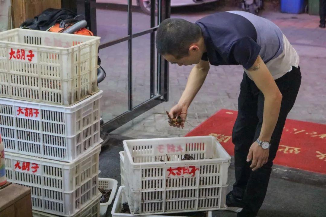 宜春潜江小龙虾,宜春潜江龙虾