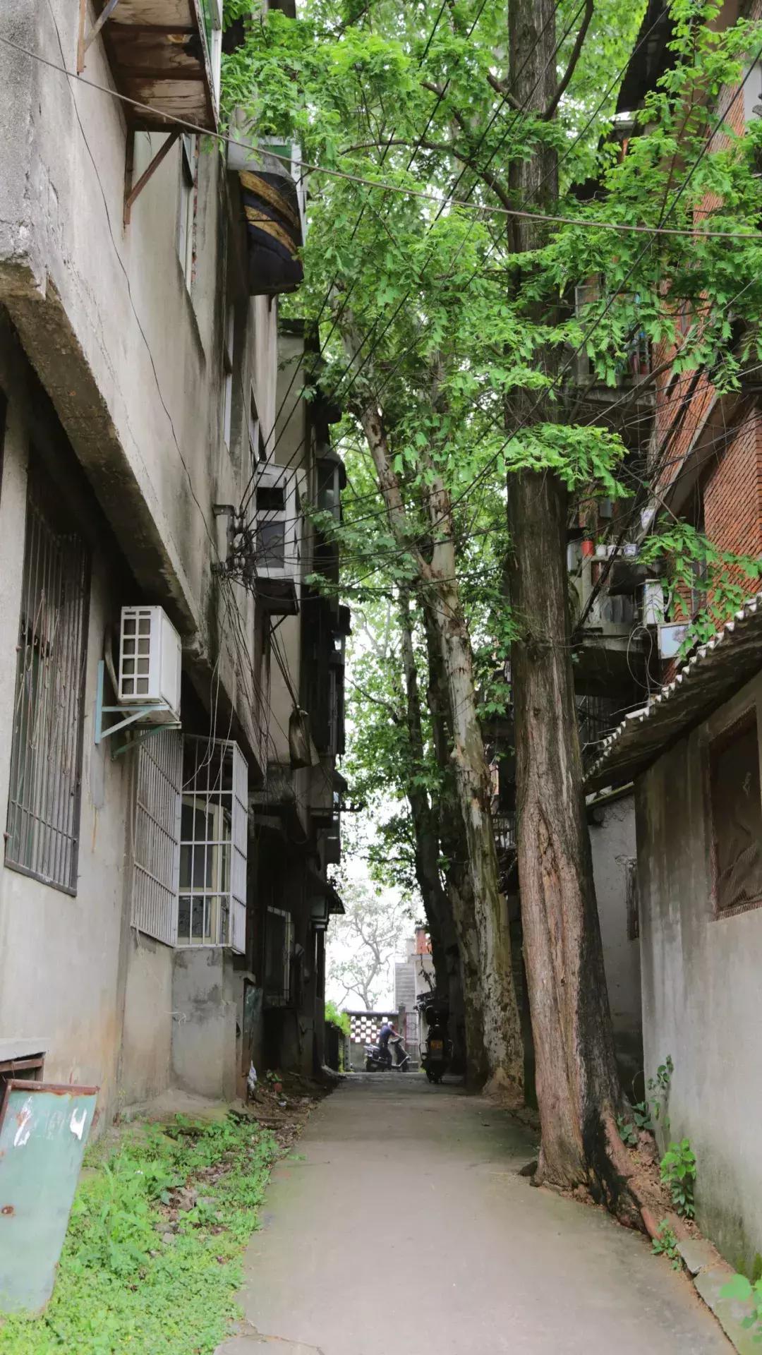 咸宁*毛老**巾厂的生活，几代人的青春