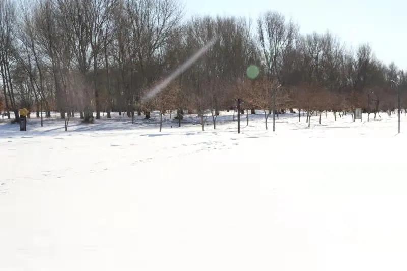 冬已至春来到,冬天来通辽去哪玩