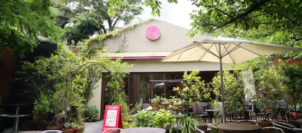 熊本熊之父,熊本熊之父广告