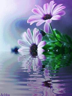 中老年人搞笑三字经,老年人三字经全集