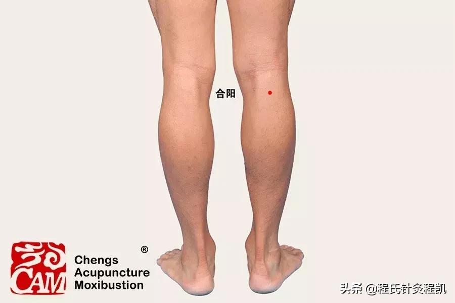 中医治疗下肢水肿医案,中医实战笔记水肿秘方